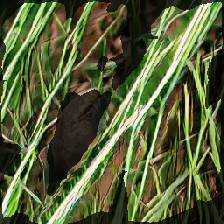layer2-738
