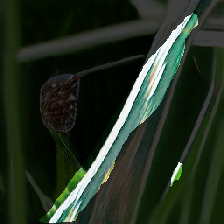 layer2-738