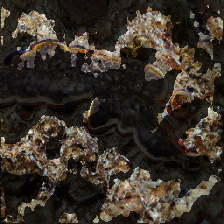 layer3-166