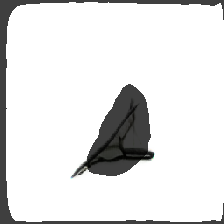 layer2-346