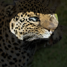 layer1-367