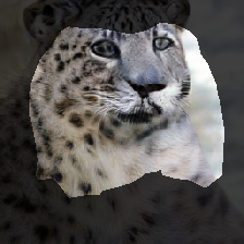 layer1-367