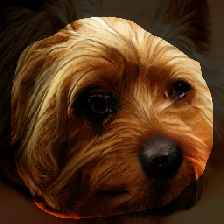 layer1-504