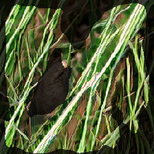 layer2-744