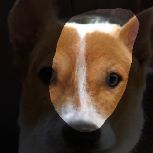 layer1-369