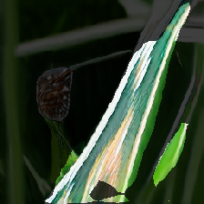 layer2-746