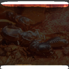 layer2-542