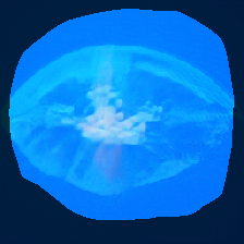layer1-761