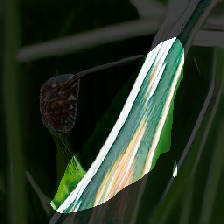 layer1-372