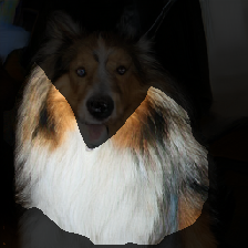 layer2-543