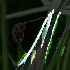 layer3-177