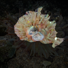 layer2-354