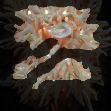 layer2-354