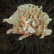 layer2-354