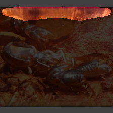 layer1-373