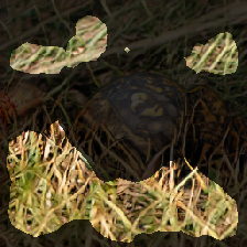 layer2-544