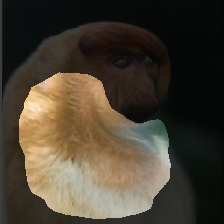 layer2-544