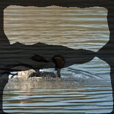 layer1-764
