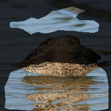 layer1-764