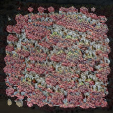 layer2-546