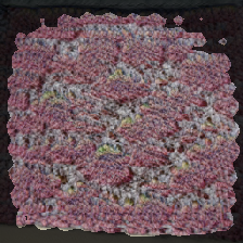 layer2-546