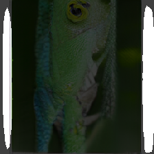 layer2-357