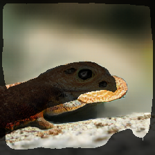 layer2-359
