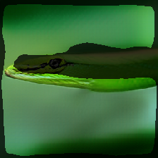 layer2-359