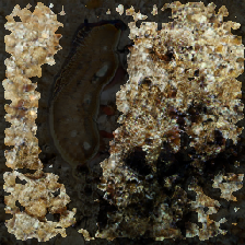 layer3-184