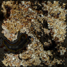 layer3-184