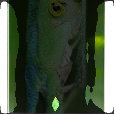 layer2-361
