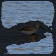 layer2-757