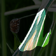 layer1-118