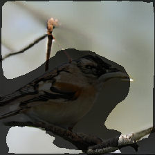 layer2-554