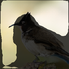 layer2-554