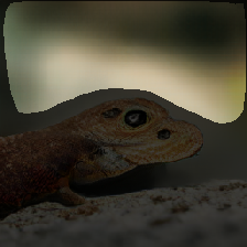 layer2-554