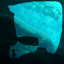 layer1-381