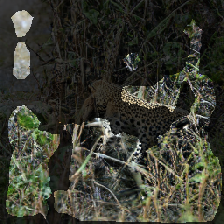 layer2-555