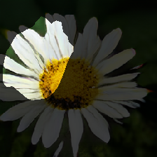 layer2-556