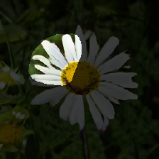 layer2-556