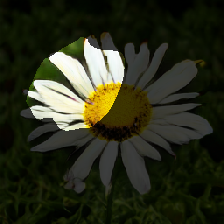layer2-556