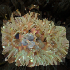 layer2-6