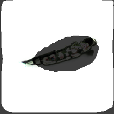 layer2-557