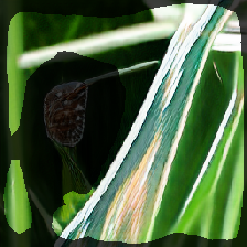 layer2-762