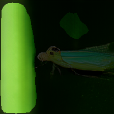 layer2-762
