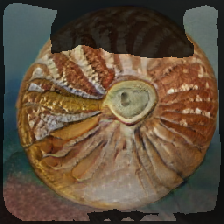 layer2-8