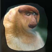layer1-385