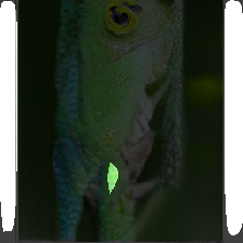 layer2-559