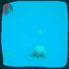 layer2-560