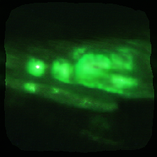 layer2-142